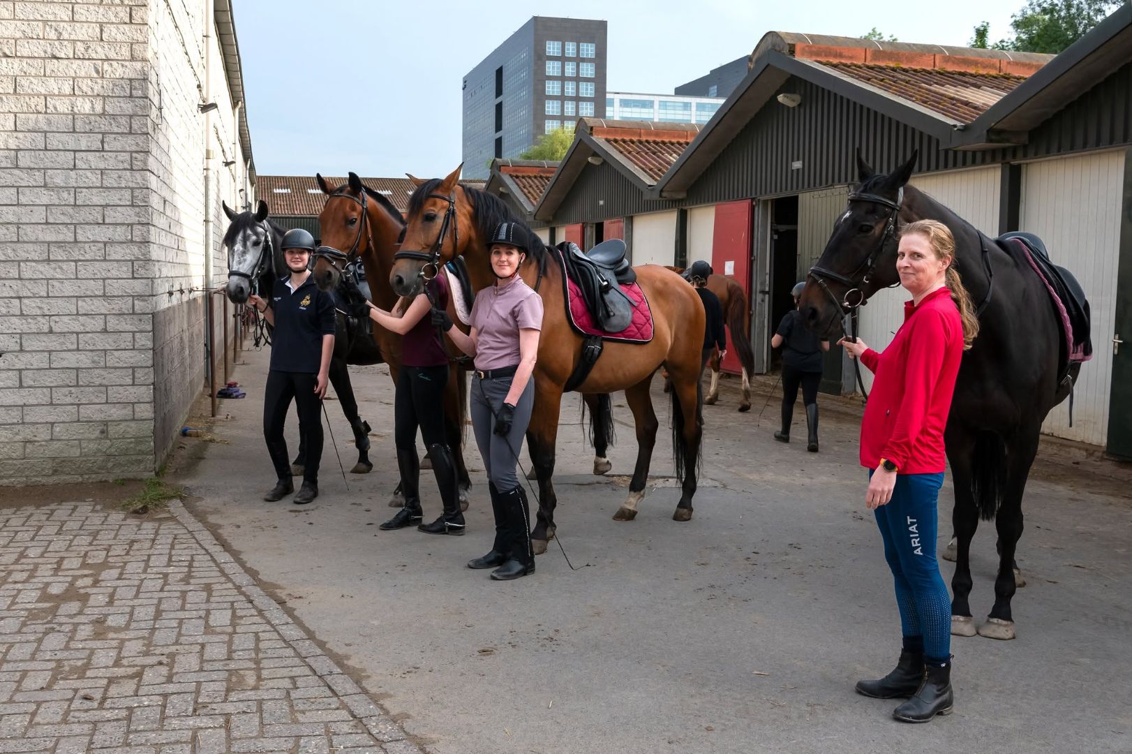 Manege De Ruif