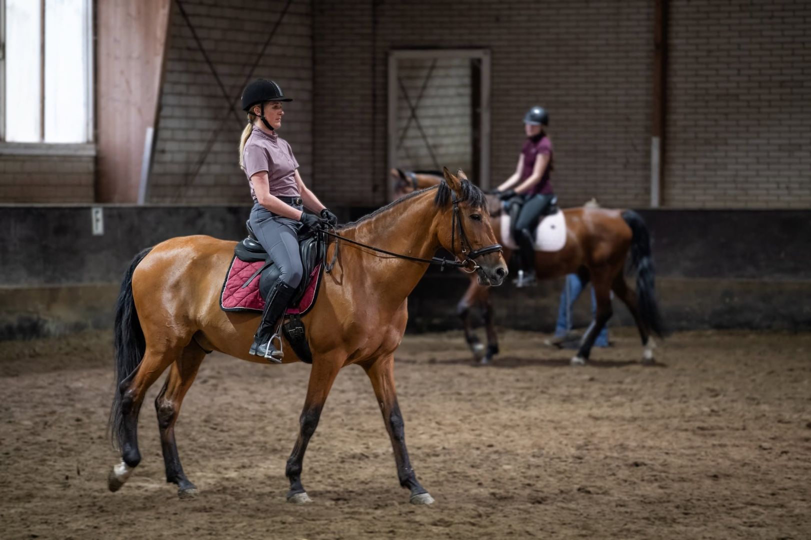 Manege De Ruif