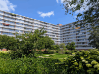 Thumbnail_Lang_Leven_Thuisflats_Amsterdam.png